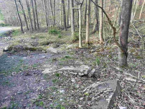 23 Serene Drive Grafton WV 26354