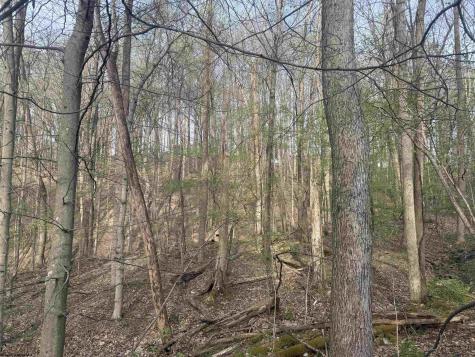 23 Serene Drive Grafton WV 26354