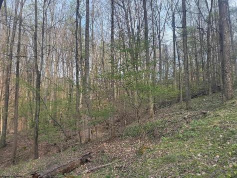 23 Serene Drive Grafton WV 26354
