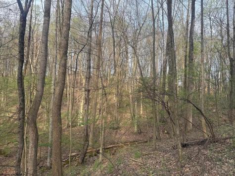 23 Serene Drive Grafton WV 26354