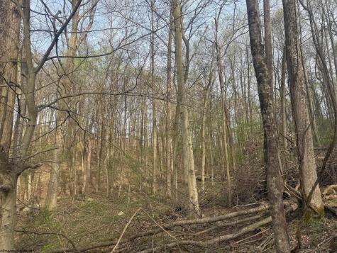 23 Serene Drive Grafton WV 26354