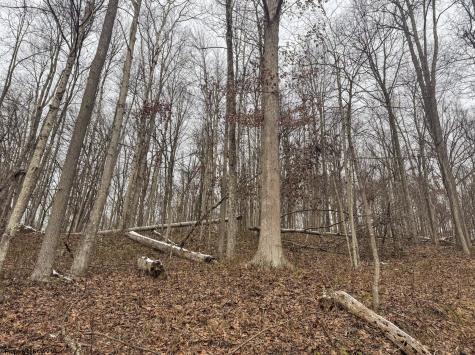 1 States Fork Road Metz WV 26585