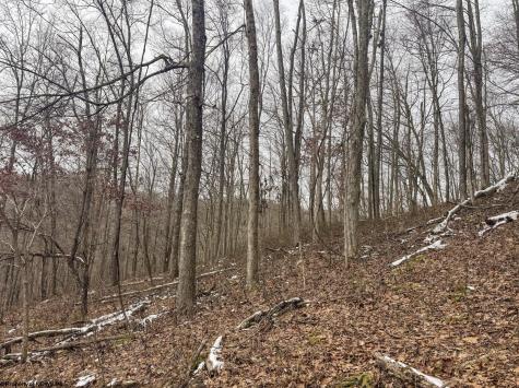 1 States Fork Road Metz WV 26585