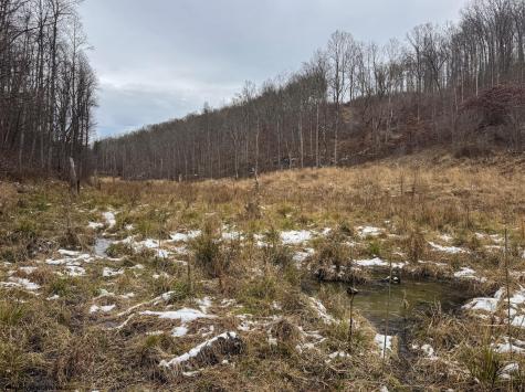 1 States Fork Road Metz WV 26585