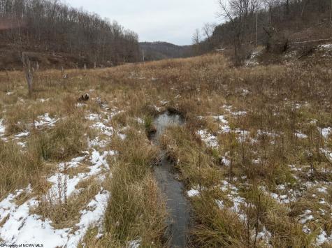 1 States Fork Road Metz WV 26585