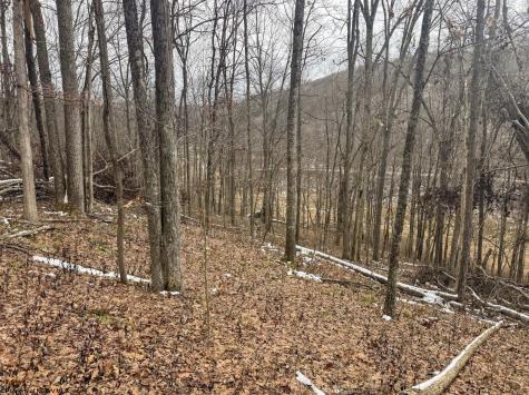 1 States Fork Road Metz WV 26585