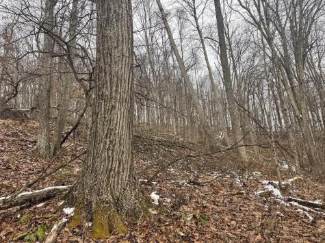 1 States Fork Road Metz WV 26585