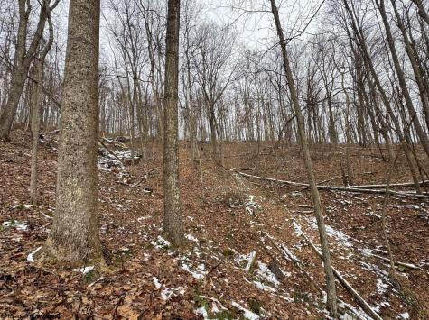 1 States Fork Road Metz WV 26585
