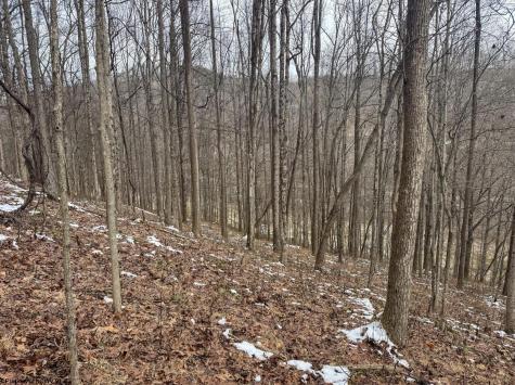 1 States Fork Road Metz WV 26585