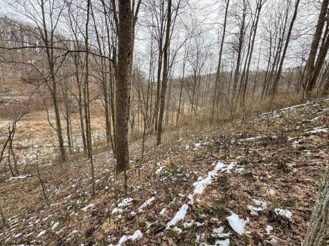 1 States Fork Road Metz WV 26585