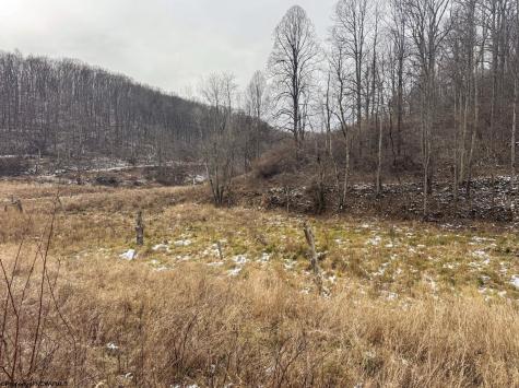 1 States Fork Road Metz WV 26585