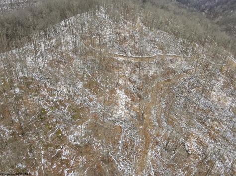 1 States Fork Road Metz WV 26585
