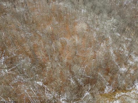 1 States Fork Road Metz WV 26585