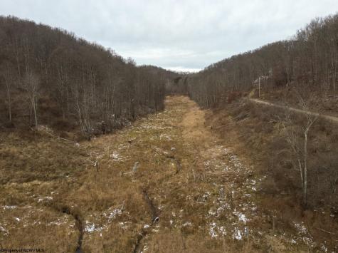1 States Fork Road Metz WV 26585