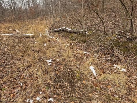 1 States Fork Road Metz WV 26585