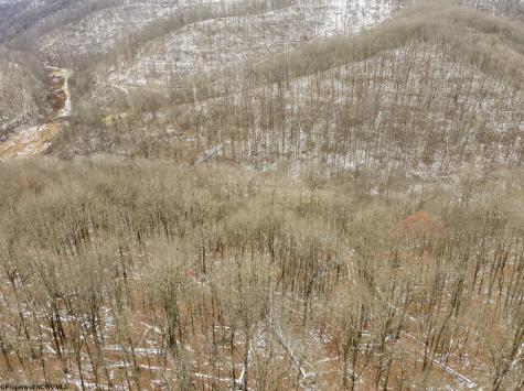 1 States Fork Road Metz WV 26585