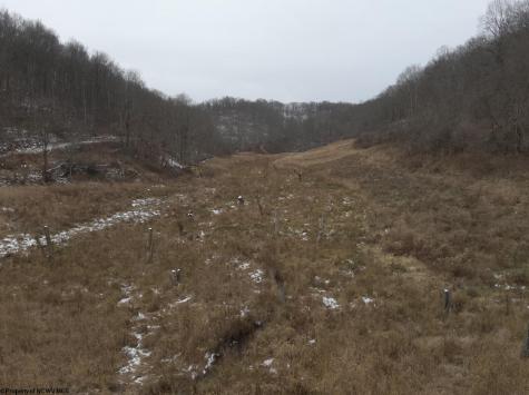 1 States Fork Road Metz WV 26585