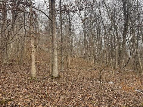 1 States Fork Road Metz WV 26585