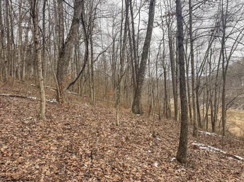 1 States Fork Road Metz WV 26585