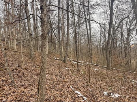 1 States Fork Road Metz WV 26585
