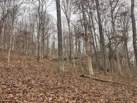 1 States Fork Road Metz WV 26585