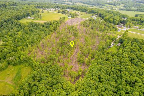 0 Salem Road Bruceton Mills WV 26525