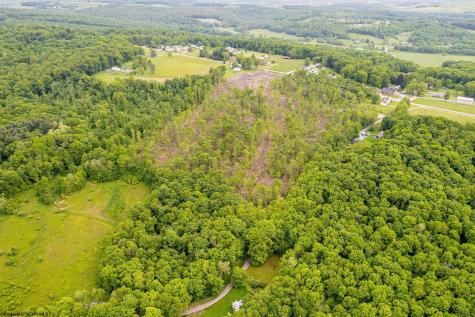 0 Salem Road Bruceton Mills WV 26525