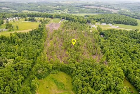 0 Salem Road Bruceton Mills WV 26525
