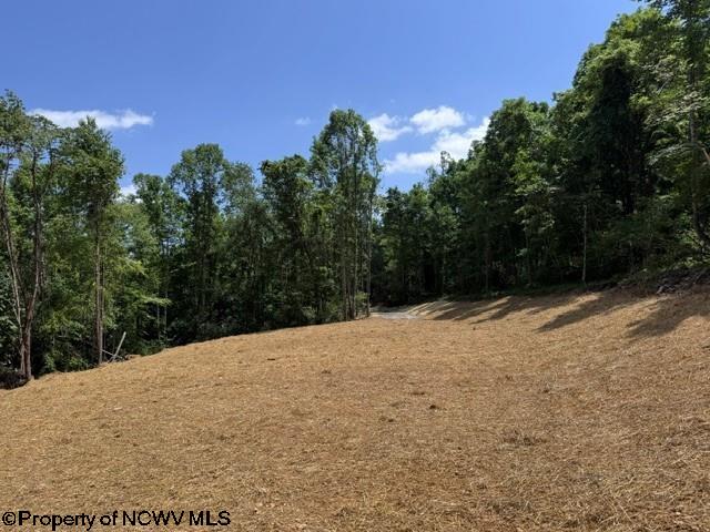 0 River Road Junior WV 26275