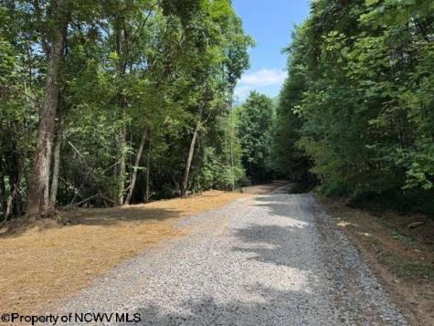 0 River Road Junior WV 26275