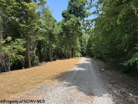 0 River Road Junior WV 26275