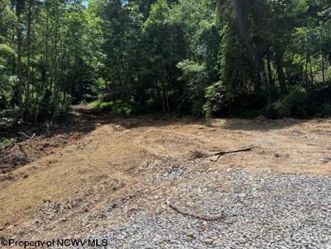 0 River Road Junior WV 26275