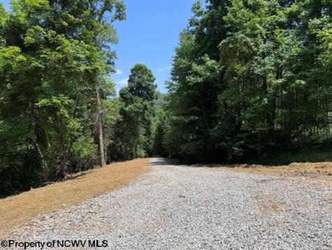 0 River Road Junior WV 26275