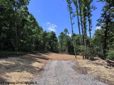 0 River Road Junior WV 26275