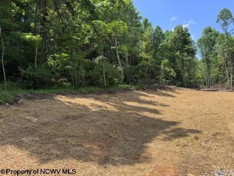 0 River Road Junior WV 26275