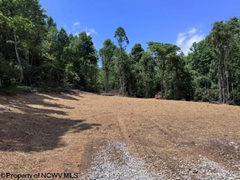 0 River Road Junior WV 26275