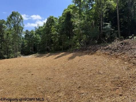 0 River Road Junior WV 26275