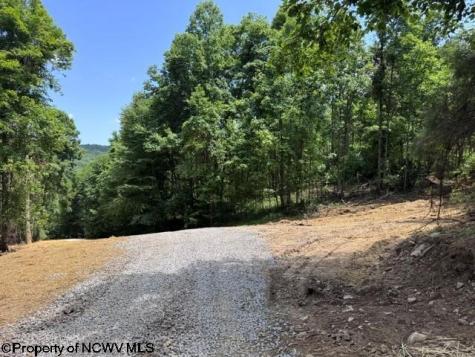 0 River Road Junior WV 26275