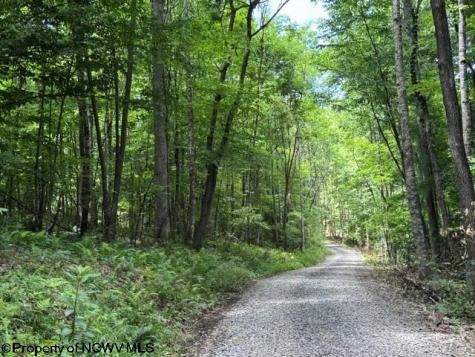 0 River Road Junior WV 26275