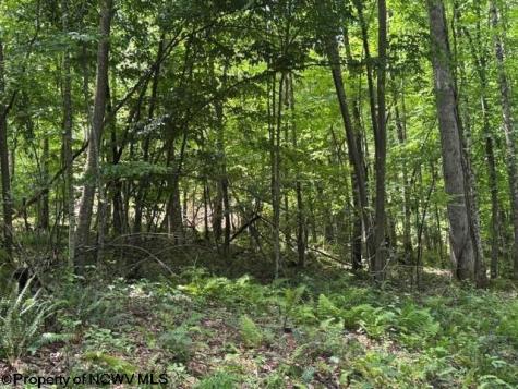0 River Road Junior WV 26275