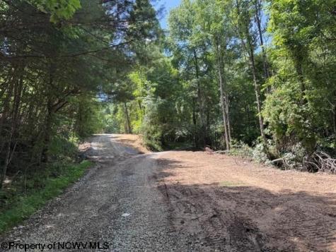 0 River Road Junior WV 26275