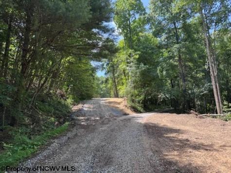 0 River Road Junior WV 26275