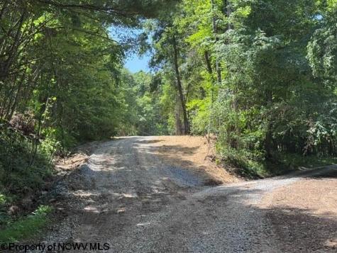 0 River Road Junior WV 26275