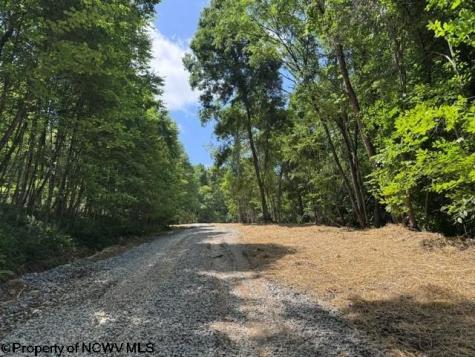 0 River Road Junior WV 26275