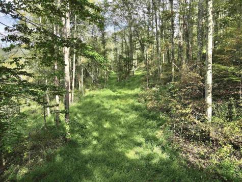 0 Dutch Hollow Road Weston WV 26452