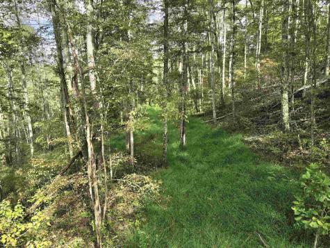 0 Dutch Hollow Road Weston WV 26452