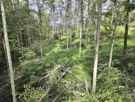 0 Dutch Hollow Road Weston WV 26452