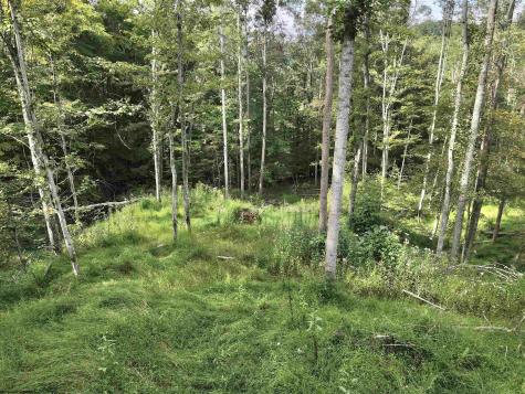 0 Dutch Hollow Road Weston WV 26452