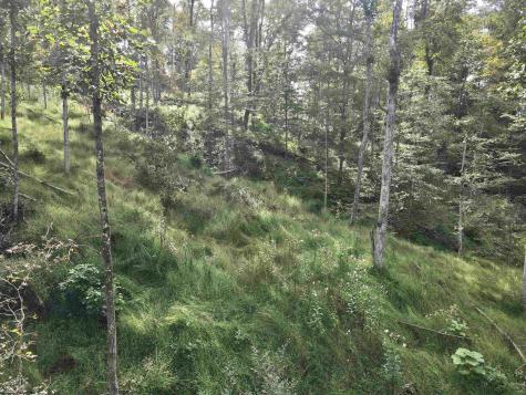 0 Dutch Hollow Road Weston WV 26452