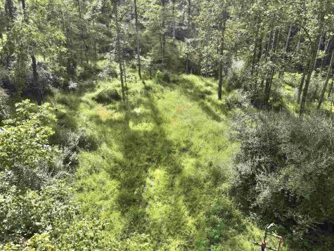 0 Dutch Hollow Road Weston WV 26452
